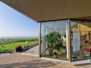 Vins Denis Meyer et Filles