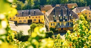 Weingut Karthäuserhof Weingut Karthäuserhof