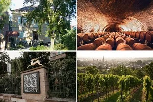 Von Winning Weingut Von Winning Weingut