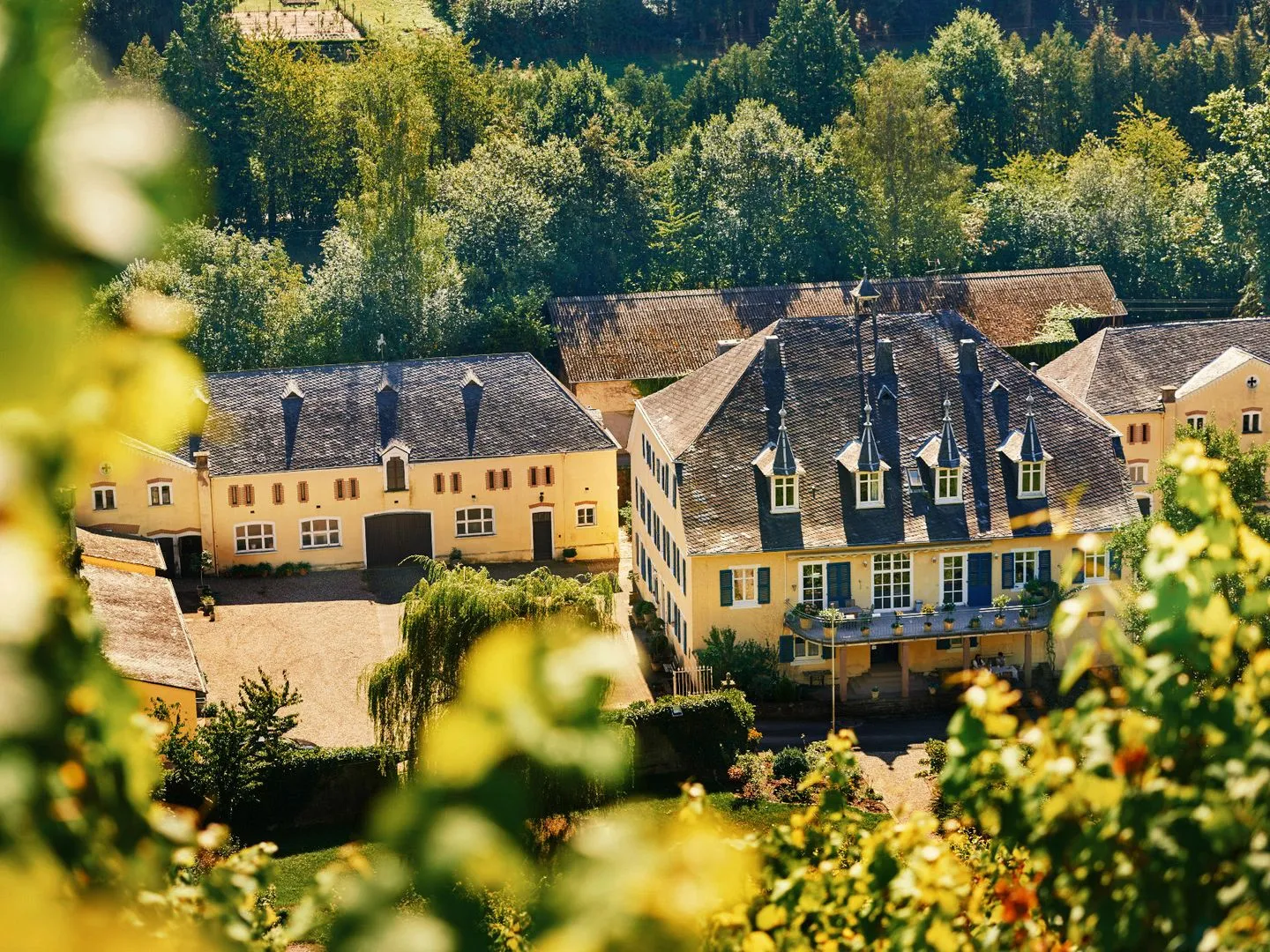 WEINsortiment - Unsere Weingüter